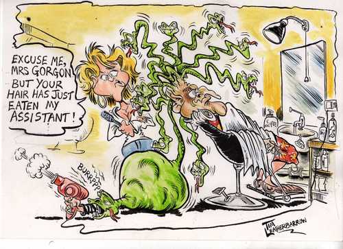 Cartoon: THE HAIRDRESSERS (medium) by Tim Leatherbarrow tagged gorgon,medusa,snakes,mythology,hairdressers