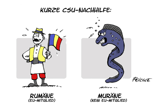 CSU-Rumäne CSU-Rumäne