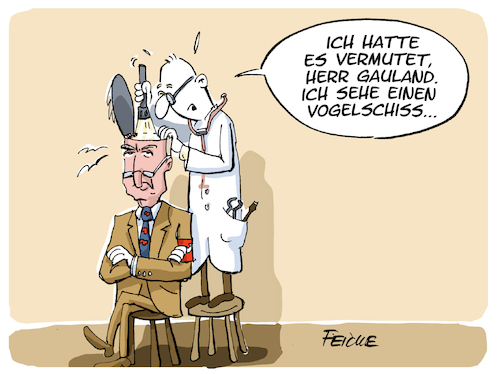 Cartoon: Gaulands Vogelschiss (medium) by FEICKE tagged afd,gauland,nazi,vergleich,afd,gauland,nazi,vergleich