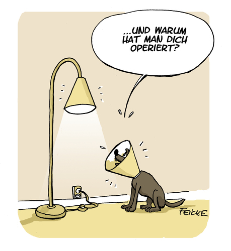 Cartoon: Hunde OP (medium) by FEICKE tagged hund,operation,krause,kratz,schutz,tier,haustier,lampe,feicke,tierarzt,veterinär,hund,operation,krause,kratz,schutz,tier,haustier,lampe,feicke,tierarzt,veterinär