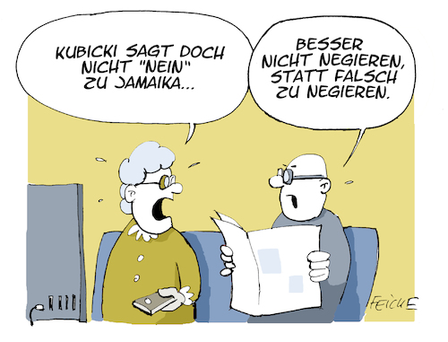 Kubicki sagt nicht nein Kubicki sagt nicht nein