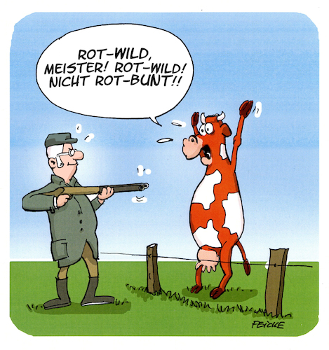 Rotwild Rotwild