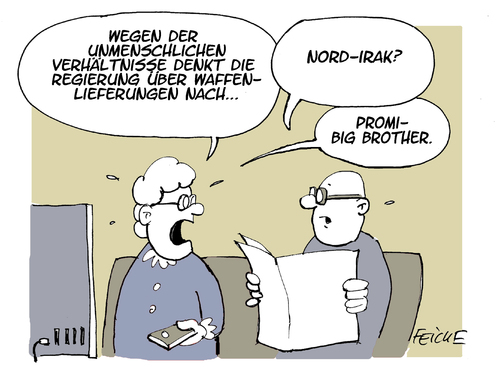 Cartoon: Waffenlieferung (medium) by FEICKE tagged steinmeier,bundesregierung,waffen,lieferung,krise,bundestag,irak,steinmeier,bundesregierung,waffen,lieferung,krise,bundestag,irak