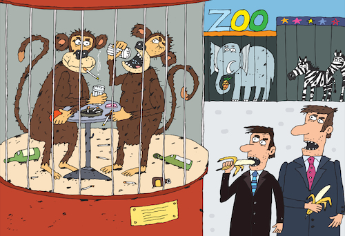Cartoon: Zoo (medium) by Sergei Belozerov tagged monkey,affen,banana,alcohol,vodka,whisky,zigarette,rauchen,zoo,party,schnaps