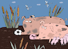 Cartoon: Family (small) by Sergei Belozerov tagged russia,russland,weltmeisterschaft,football,fußball,soccer,balll,schwein,pig,vater,familie,nose,nase,boar,hog,eber,keiler,schmutz,moorbad