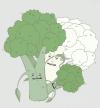 Cartoon: broccoli and cauliflower (small) by jannis tagged food