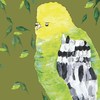 Cartoon: budgerigar (small) by jannis tagged animal