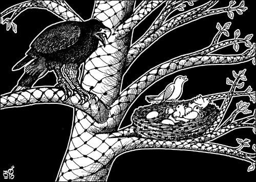 Cartoon: nest (medium) by samir alramahi tagged viva,palestine,arab,scarf,ramahi,cartoon