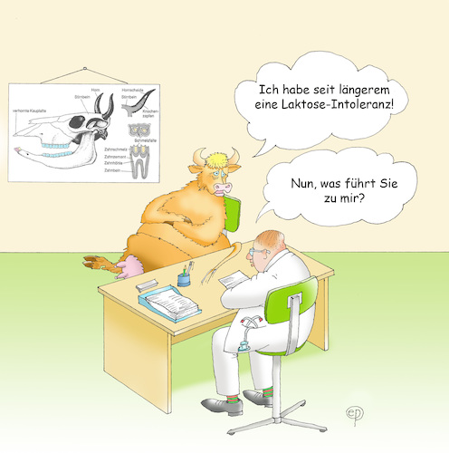 Cartoon: Laktose-Intoleranz (medium) by Erwin Pischel tagged laktoseintoleranz,laktose,intoleranz,milch,milchprodukt,krankheit,immunsystem,allergie,kuh,rind,euter,milchverarbeitung,unvertraeglichkeit,arzt,veterinaer,arztzimmer,schreibtisch,wandkarte,arztbesuch,milchzusammensetzung,lactose,lactoseintoleranz,milchzucker,lactosefrei,pischel