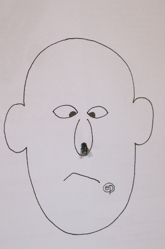 Cartoon: Nasenfliegel (medium) by Erwin Pischel tagged fliege,nase,belaestigung,kitzelei,kitzel,fliegen,insekt,insekten,kerbtier,kerbtiere,hexapoda,insektenschwund,insektenart,pischel
