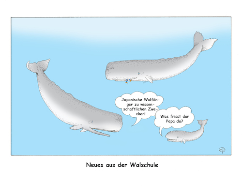 Cartoon: Walfängerei (medium) by Erwin Pischel tagged wal,walfleisch,waljagd,japan,jagd,artenschutz,umwelt,oekologie,kommerzialisierung,pischel,ozean,meer,großwale,meerestiere,biodiversitaet,tierschutz,schutzzone,walfangkommission,iwc,walfangverbot,norwegen,island