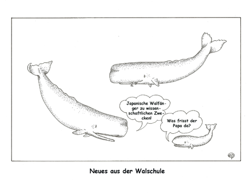 Cartoon: Walfang I (medium) by Erwin Pischel tagged fische,walschule,meeressaeuger,pischel,zahnwal,großwal,jagd,ozean,meer,walfangprogramm,meerestiere,biodiversitaet,artenschutz,tierschutz,schutzzone,walfangkommission,internationale,iwc,walfangverbot,iceland,island,norway,norwegen,japan,walfang,wal,wale