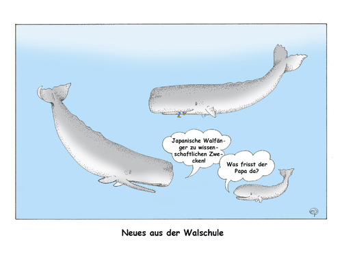 Cartoon: Walfang II (medium) by Erwin Pischel tagged pischel,fischerei,walschule,meeressaeuger,bartenwale,zahnwale,ozean,meer,großwale,jagd,meerestiere,biodiversitaet,artenschutz,tierschutz,schutzzone,walfangkommission,internationale,iwc,walfangverbot,iceland,island,norway,norwegen,japan,walfang,wal,wale