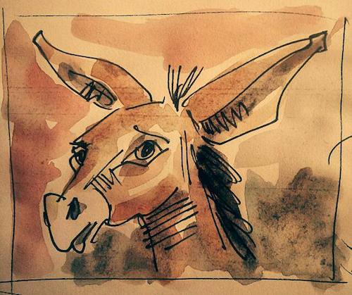 Cartoon: donkey (medium) by kolle tagged donkey