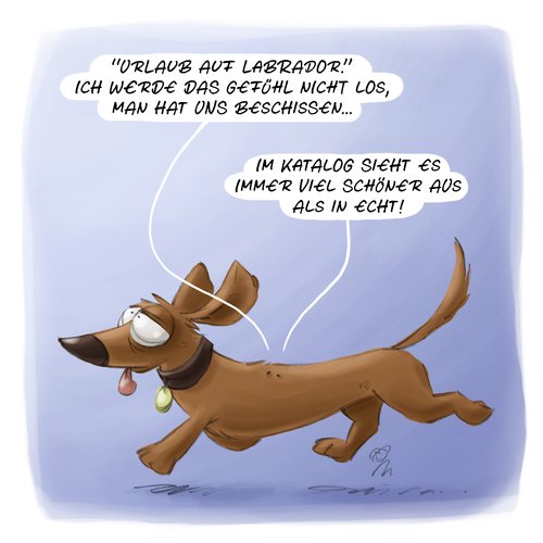 LACHHAFT Cartoon No. 376 LACHHAFT Cartoon No. 376