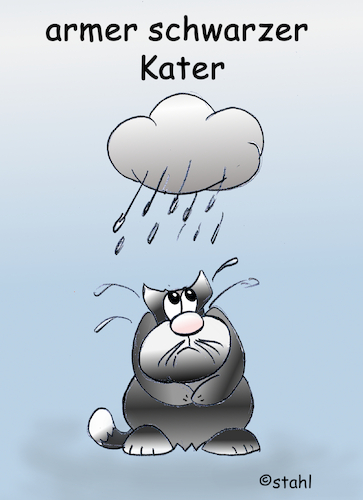 armer schwarzer Kater armer schwarzer Kater