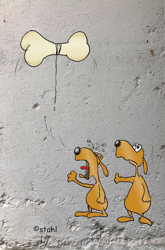 Balloon Dog Balloon Dog
