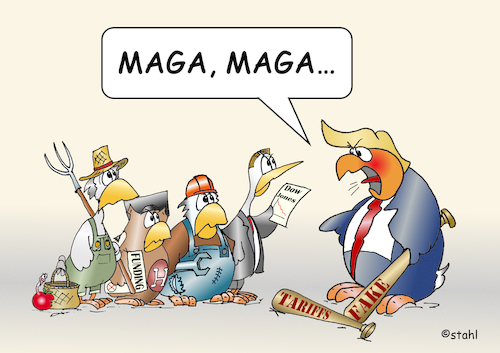 Der Magagei Der Magagei