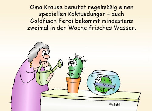 Kaktuspflege Goldfisch koi Kaktuspflege Goldfisch koi
