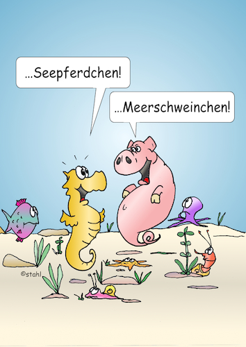 Cartoon: Meerschweinchen (medium) by wista tagged seepferd,seepferdchen,meerschwein,meerschweinchen,meer,fisch,fische,tiere,meerestiere,krabben,seestern,garnele,see,ozean,leben,aquarium,schnecke,angeln,fischen,wasser,wassertiere,haustier,haustiere,hund,katze,maus,ratte,koralle,korallenriff,riff,anemone