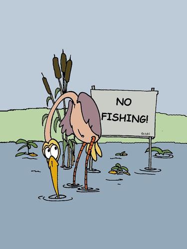 Cartoon: no fishing (medium) by wista tagged bird,fishing