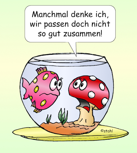 Partnerwahl Partnerwahl