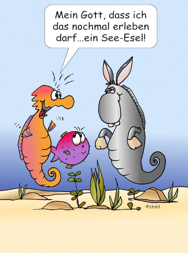 Seeesel und Seepferdchen Seeesel und Seepferdchen