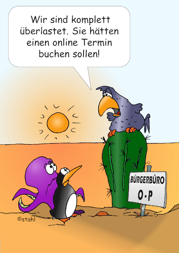 Service Wüste 4 Service Wüste 4