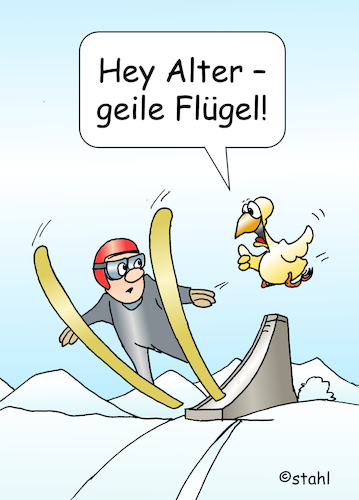 Skispringer Skispringer