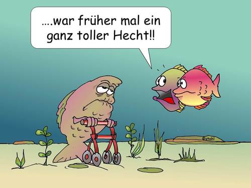 Cartoon: Toller Hecht (medium) by wista tagged toller,hecht,fisch,fische,alt,alter,jugend,oma,opa,liebe,draufgänger,erinnerung,rollator