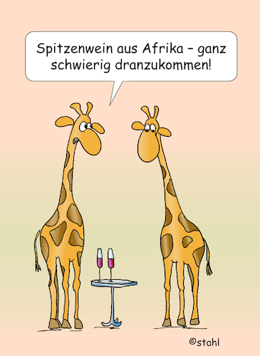 Wein aus Afrika Wein aus Afrika