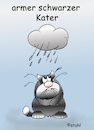 armer schwarzer Kater