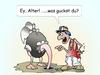 Cartoon: Was guckst du? (small) by wista tagged was,guckst,du,gucken,kucken,jugend,sprache,migranten,migration,migrationshintergrund,jugendliche,strauss,vogel,loch,verstecken,cool,locker,leger,anmache,anmachen