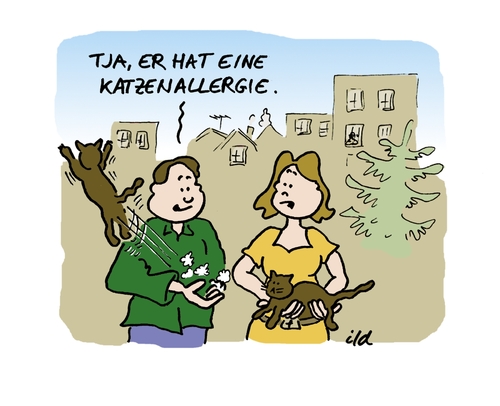 Katzenallergie