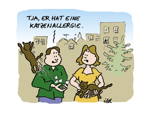 Katzenallergie Katzenallergie