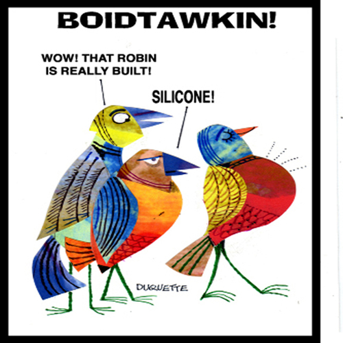 Cartoon: BOIDTAWKIN (medium) by STEVEN DUQUETTE tagged birds,stylized,colorful,cartoon,humorous