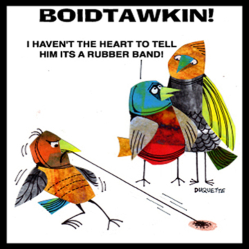 Cartoon: BOIDTAWKIN (medium) by STEVEN DUQUETTE tagged birds,stylized,colorful,cartoon,humorous