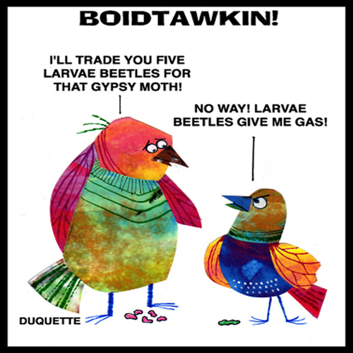 Cartoon: BOIDTAWKIN (medium) by STEVEN DUQUETTE tagged birds,stylized,colorful,cartoon,humorous