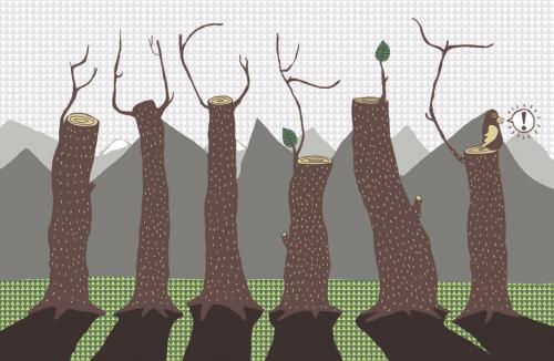 angry trees angry trees