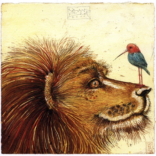 lion and kolibri lion and kolibri