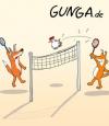 Cartoon: Federball (small) by Gunga tagged federball