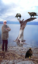 Cartoon: no comment (small) by Miro tagged no,comment