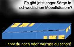 Cartoon: Schwedisches Möbelhaus (medium) by Newbridge tagged ikea,schweden,möbel,sarg,leben,tod,wurm