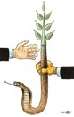 Cartoon: Snake (small) by Senad tagged snake,senad,nadarevic,bosnia,bosna,karikatura