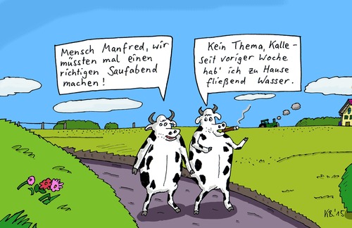 Cartoon: auf dem Lande (medium) by Leichnam tagged auf,dem,lande,dorf,männerabend,saufabend,gelage,kühe,bullen,zigarre,weide,manfred,kein,thema,zu,hause,fließend,wasser,kalle