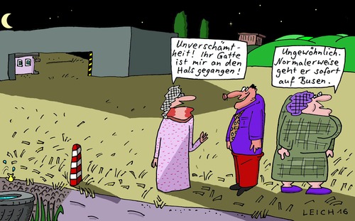 Cartoon: Nachtgespräch (medium) by Leichnam tagged nachtgespräch,feld,unverschämtheit,ungewöhnlich,an,den,hals,gegangen,busen,normalerweise,sofort,ehe,gatte