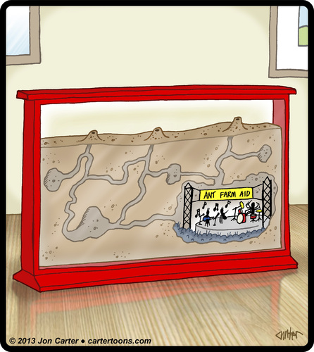 Ant Farm Aid Ant Farm Aid
