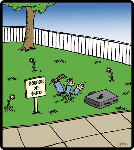 Attack Yard Attack Yard