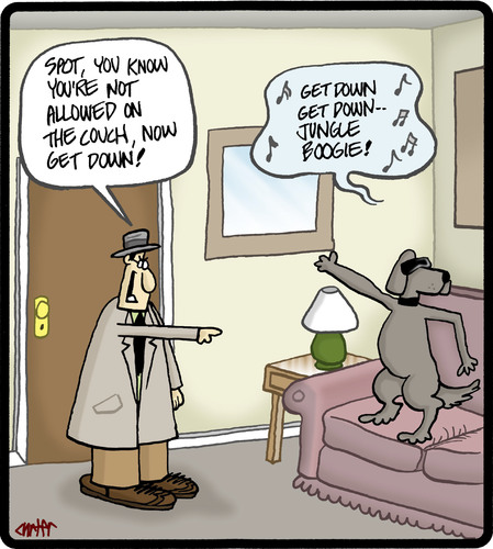 Boogie Dog Boogie Dog