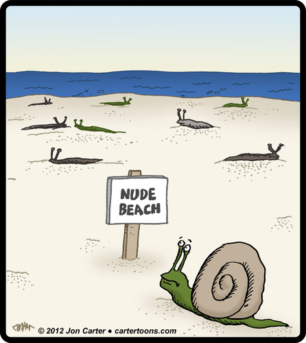 Snail Nude Beach By cartertoons | Nature Cartoon | TOONPOOL